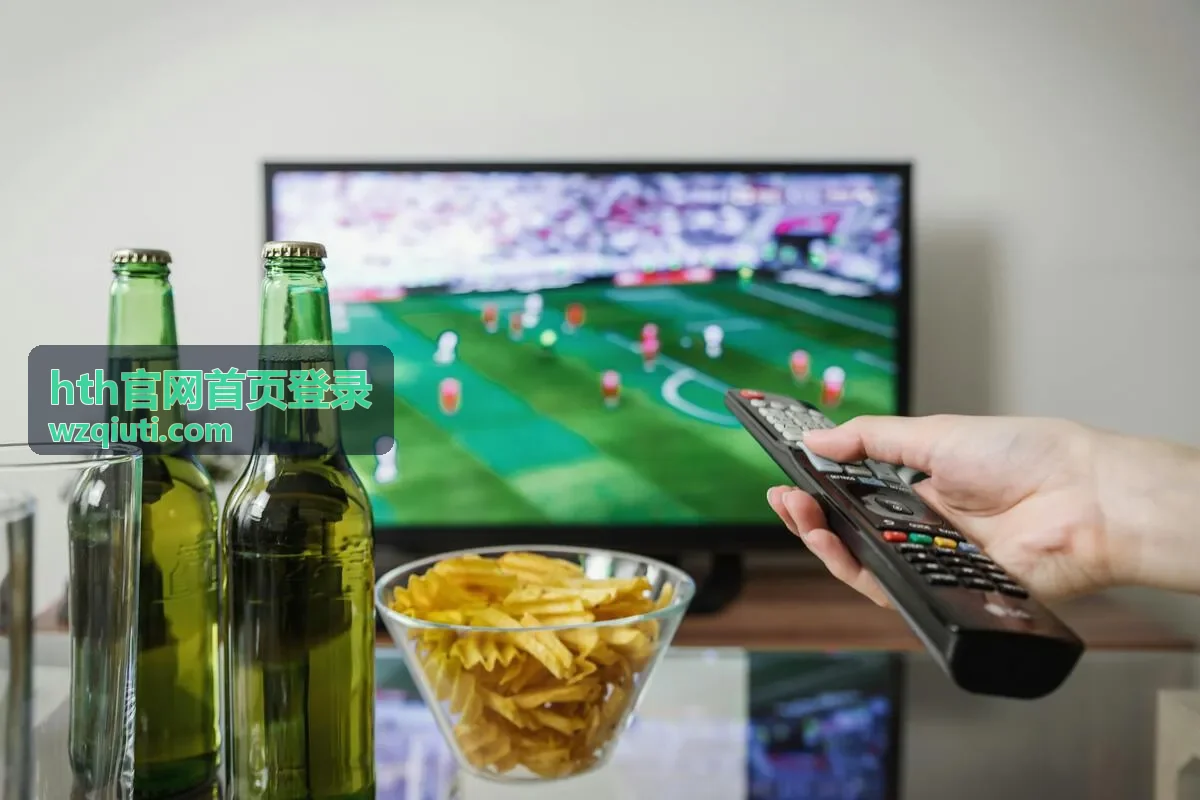 hth官网首页登录说明资料下载示意