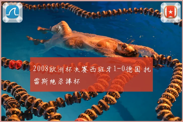 2008欧洲杯决赛西班牙1-0德国 托雷斯绝杀捧杯