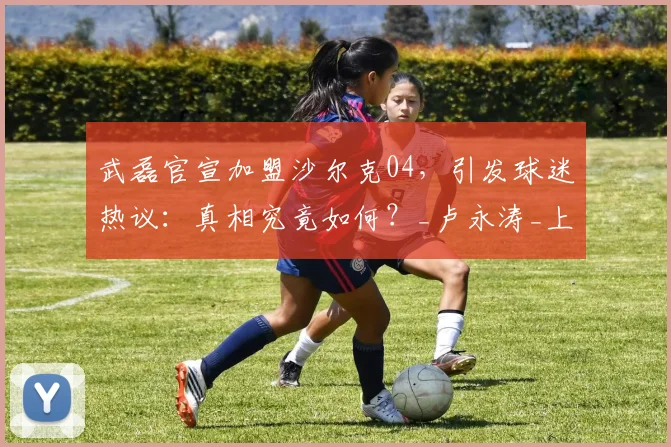 武磊官宣加盟沙尔克04,引发球迷热议:真相究竟如何?_卢永涛_上港_南通