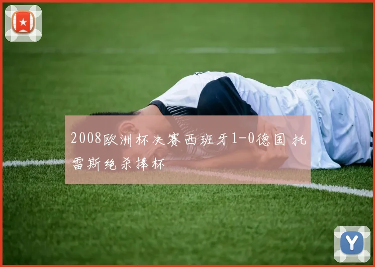 2008欧洲杯决赛西班牙1-0德国 托雷斯绝杀捧杯
