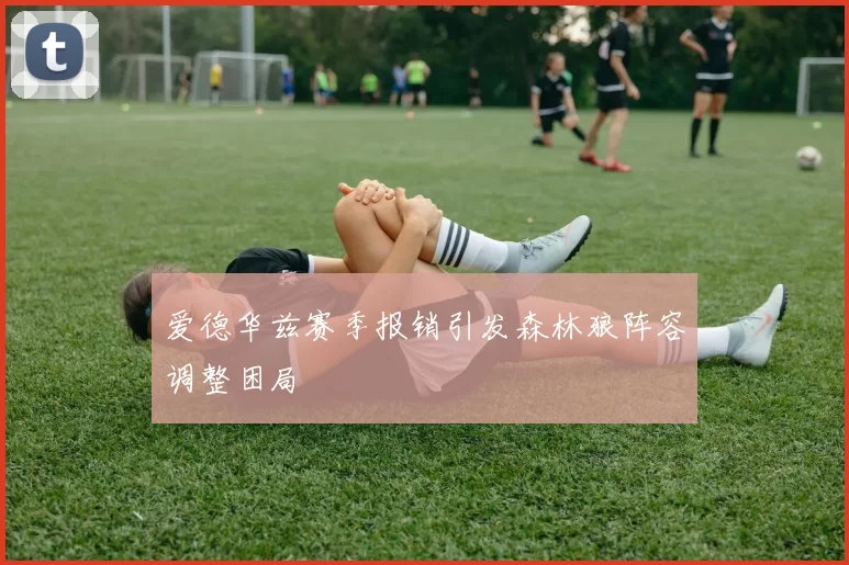 爱德华兹赛季报销引发森林狼阵容调整困局