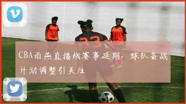 CBA雨燕直播线赛事延期，球队备战计划调整引关注